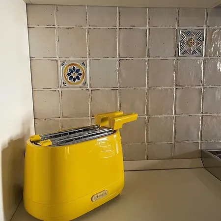 Casa Savoia 31 公寓